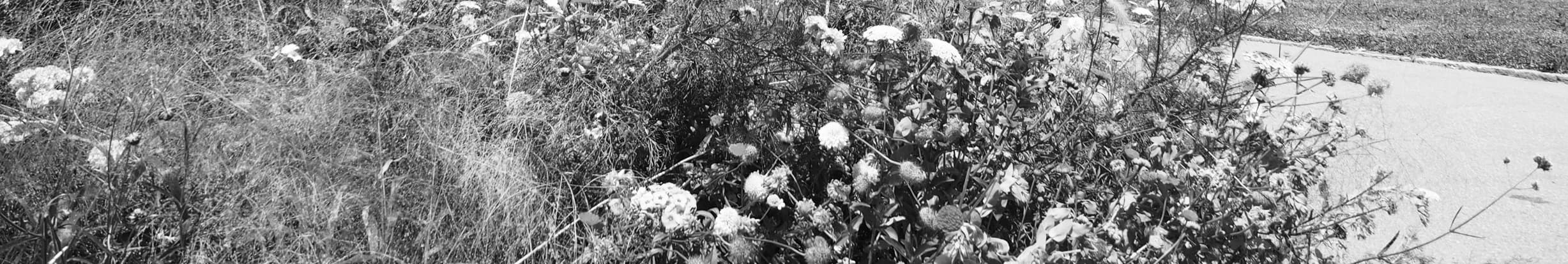 das-pzm-heute-und-morgen-b